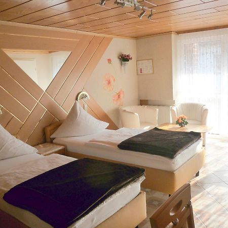 Central Hotel Шветцинген Экстерьер фото
